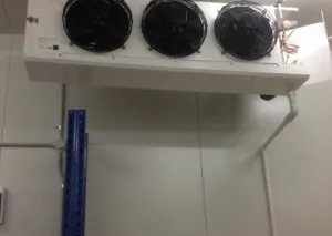 Finished cold room interior, Grinders Coffee